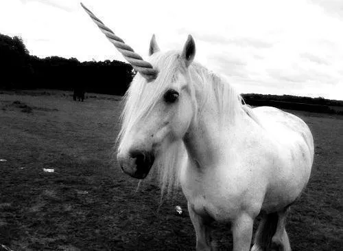 La cabra que quiere ser unicornio
