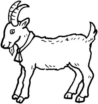 Dibujo de Cabras. Dibujo para colorear de Cabras. Dibujos ...