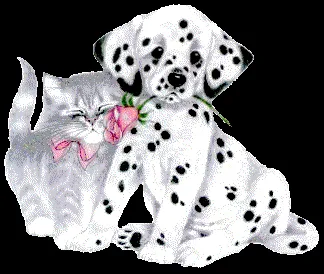 los cachorros mas lindos