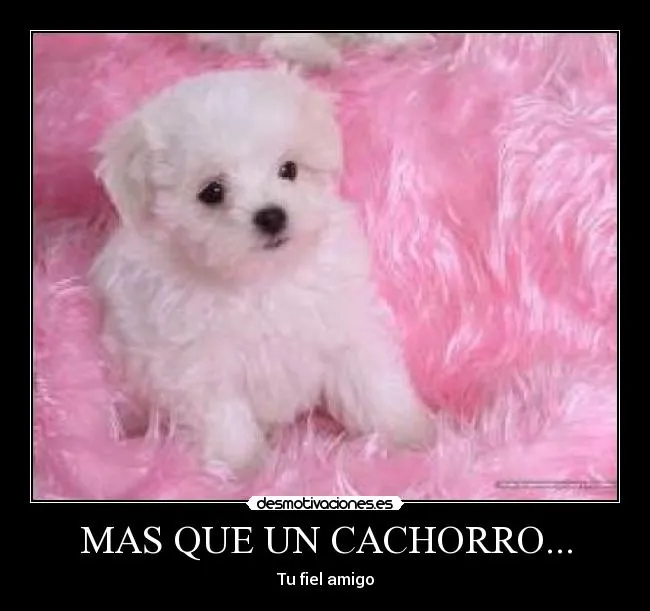 Carteles de Tierno Pag. 75 | Desmotivaciones