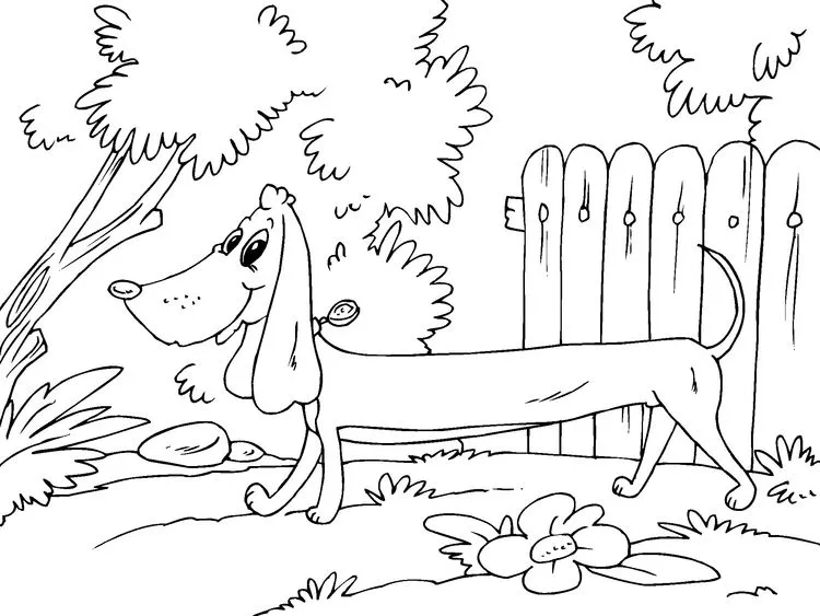 Cachorros para colorear | Cómo educar a un cachorro