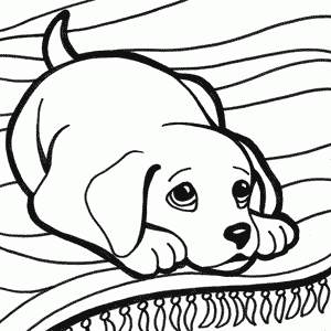 CACHORROS PERRITOS: DIBUJOS DE CACHORROS DE PERRO PARA COLOREAR CACHORROS PERRITOS: DIBUJOS DE CACHORROS DE PERRO PARA COLOREAR