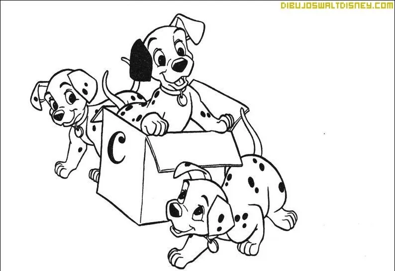 cachorros3.jpg
