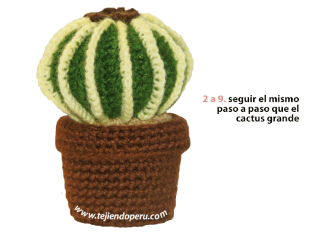 Cactus tejidos al crochet explicacion - Imagui Cactus tejidos al crochet explicacion - Imagui