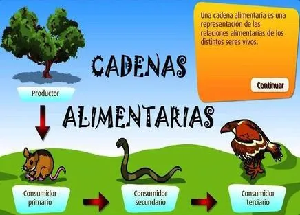 Cadena alimenticia para niño - Imagui