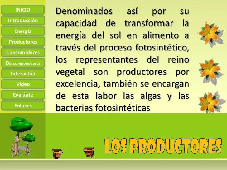 la-cadena-alimenticia-4-728. ...