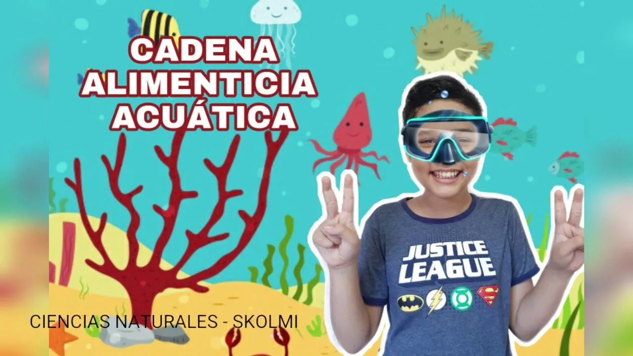 Cadena alimenticia acuática - YouTube