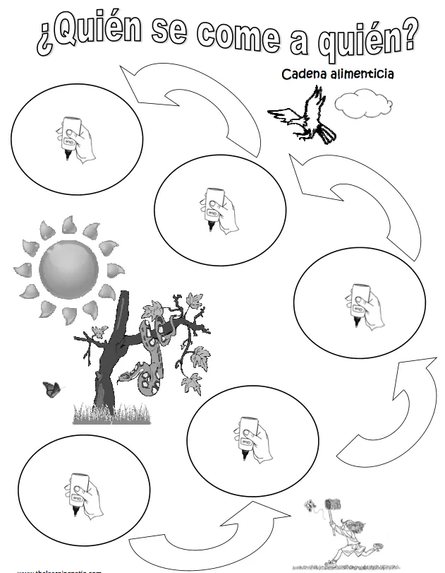 Cadena alimenticia | Ciencia natural, Ciencias naturales, Actividades científicas Cadena alimenticia | Ciencia natural, Ciencias naturales, Actividades científicas