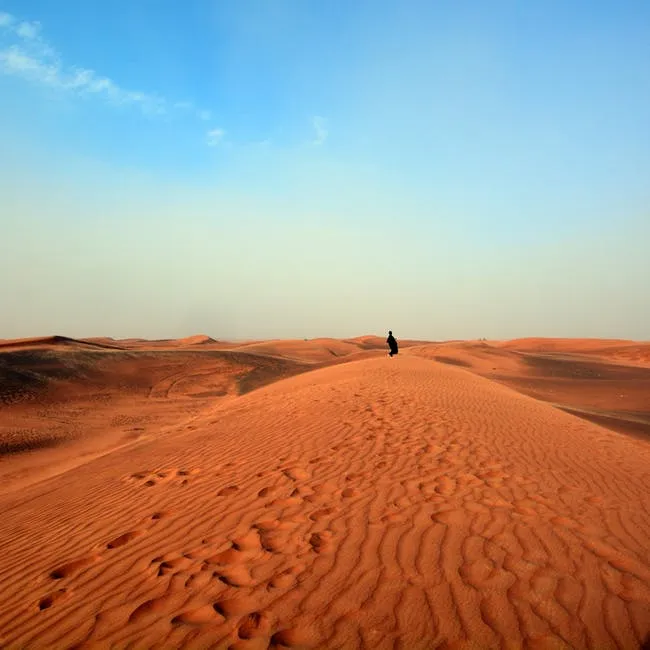 Cadena alimenticia del desierto