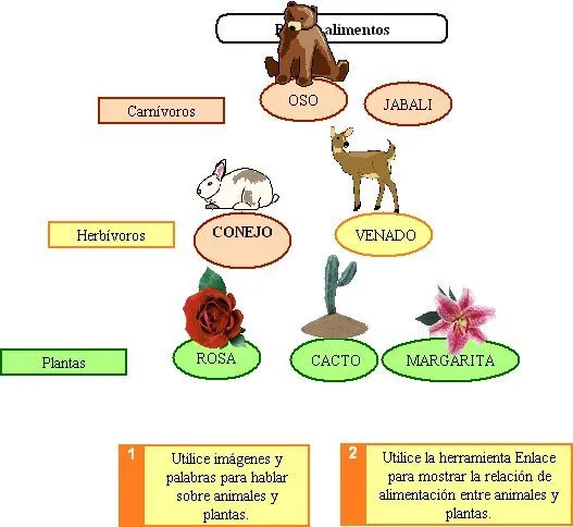 Cadenas alimenticias - Imagui
