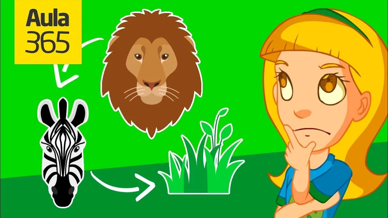 Qué es la Cadena Alimenticia? | Videos Educativos Aula365 - YouTube Qué es la Cadena Alimenticia? | Videos Educativos Aula365 - YouTube