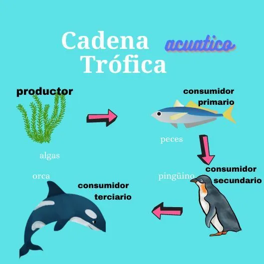 cadena trofica | Trucos para la escuela, Margenes bonitos y faciles, Consejos de negocios cadena trofica | Trucos para la escuela, Margenes bonitos y faciles, Consejos de negocios