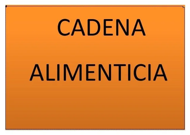 CADENAS ALIMENTICIAS