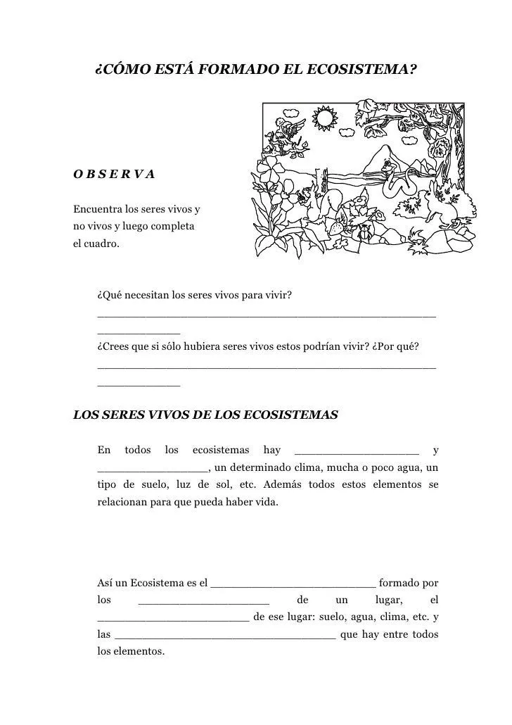 Cadenas alimenticias para colorear - Imagui