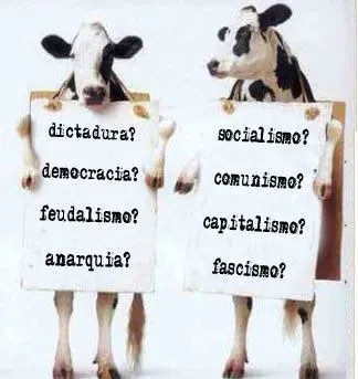 imagenes de vacas animadas para colorear