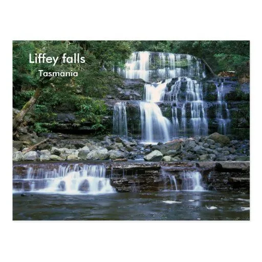Caídas de Liffey, Tasmania Tarjetas Postales | Zazzle