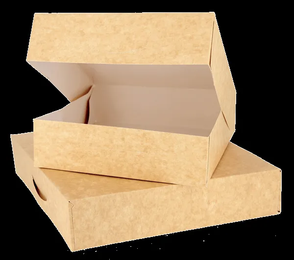 Caja cuadrada cartón Kraft con tapa integrada 23x23x5cm 50uds - Pack4Food