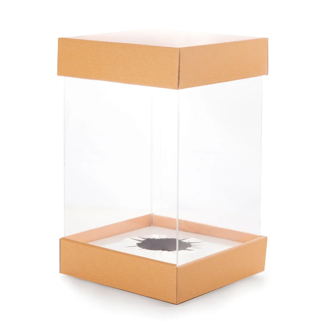 CAJA PARA HUEVO DE PASCUA DELUXE TRANSPARENTE CON LAZO MELOCOTON PASTKOLOR BOMBONETTE CAJA PARA HUEVO DE PASCUA DELUXE TRANSPARENTE CON LAZO MELOCOTON PASTKOLOR BOMBONETTE