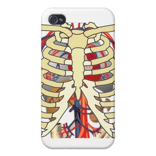 La caja torácica vetea espec. del corazón grande iPhone 4 funda de ... La caja torácica vetea espec. del corazón grande iPhone 4 funda de ...