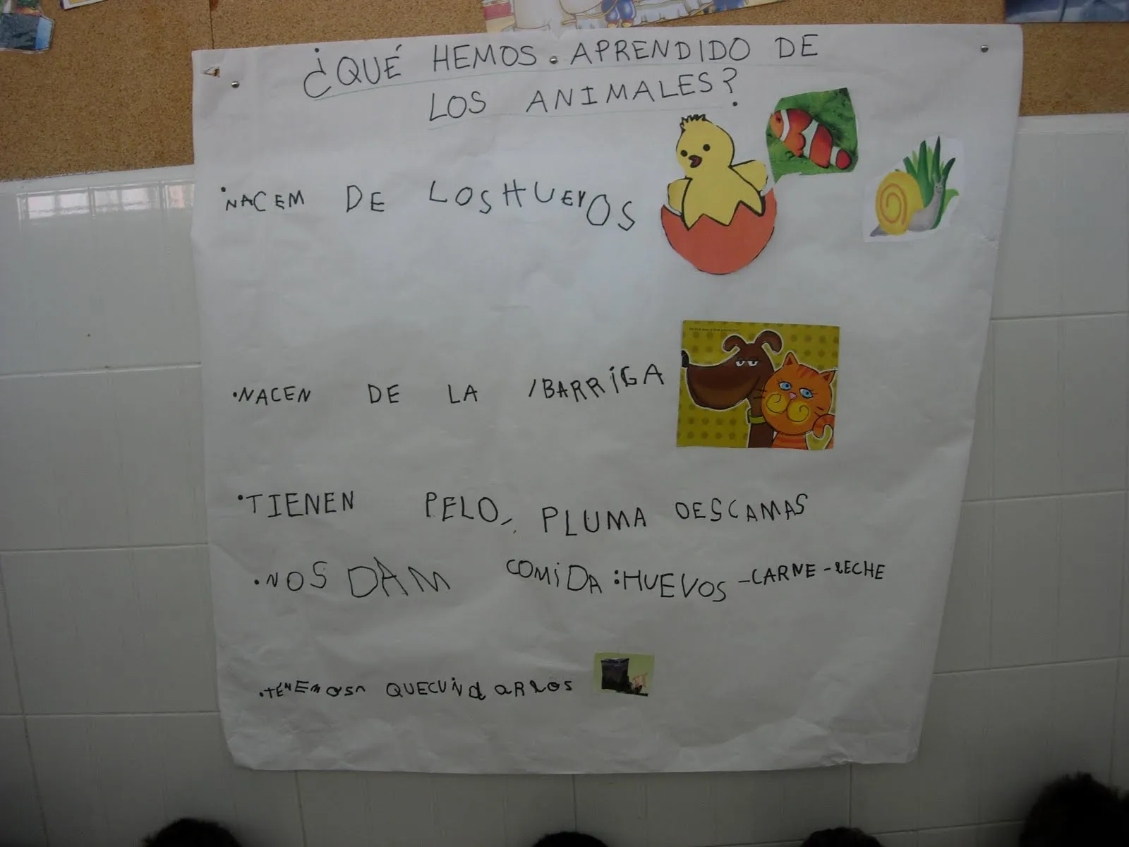 La cajita de sorpresas: ¿QUÉ HEMOS APRENDIDO DE LOS ANIMALES? La cajita de sorpresas: ¿QUÉ HEMOS APRENDIDO DE LOS ANIMALES?