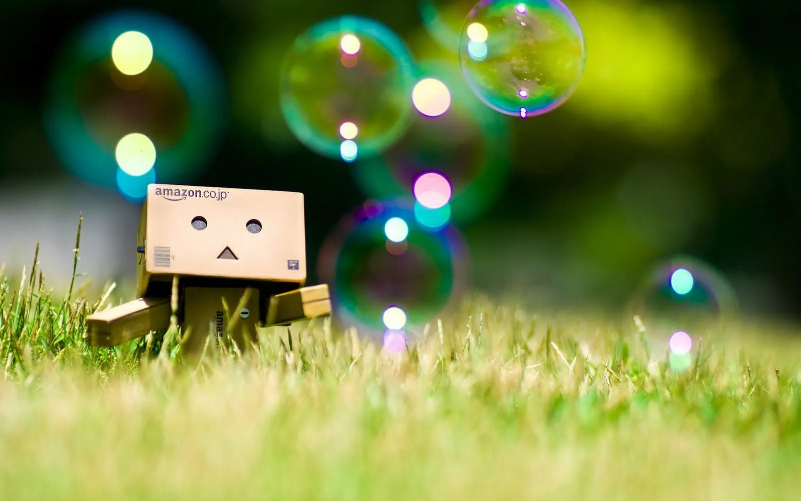 Kawaii&Monster: Danbo