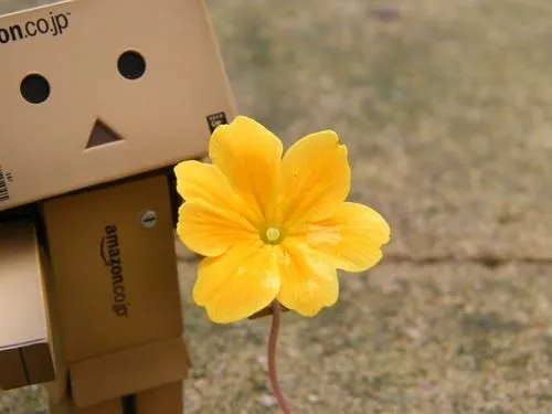 Cajitas con frases de amor - Imagui