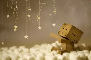 Cajitas Danbo - Taringa Peliculas!