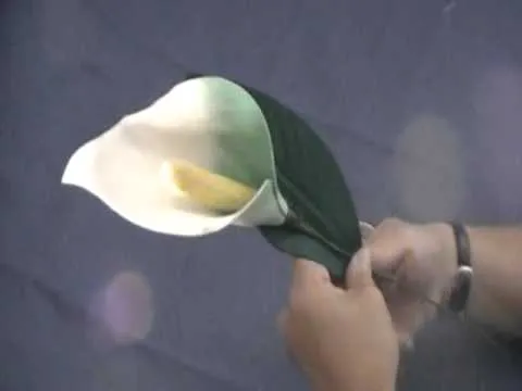 Como hacer la Cala en goma eva, una flor bella para el alma - YouTube