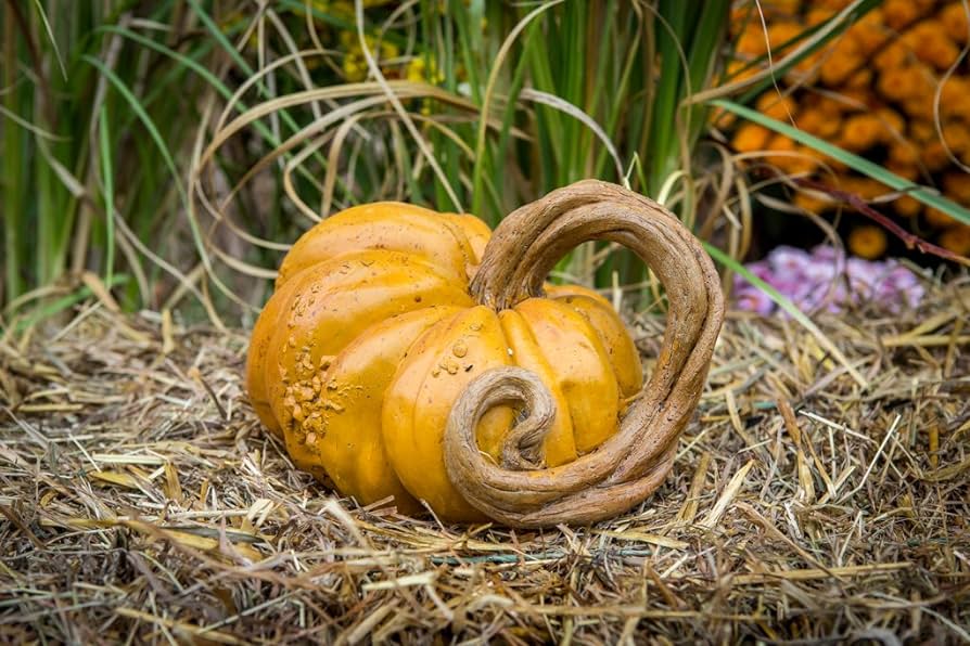 Calabaza artificial de calabaza y cenicienta para decoración de interiores  y exteriores : Amazon.com.mx: Jardín