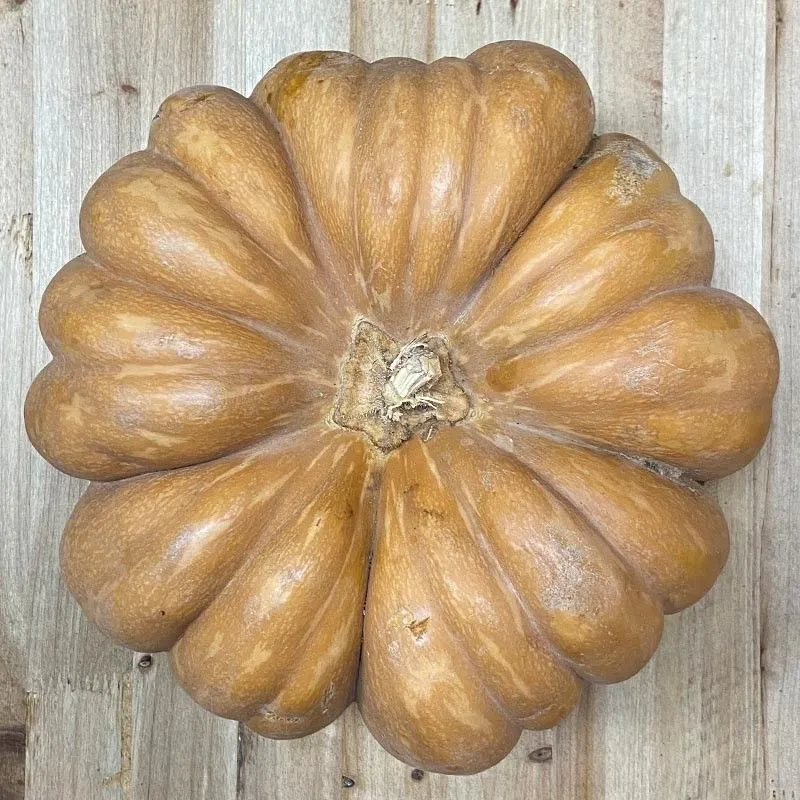 Calabazas Cenicienta