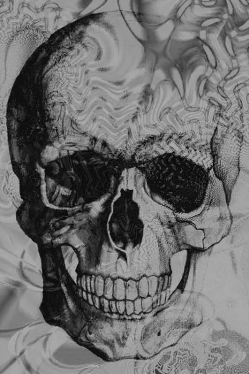 Calaberas en blanco y negro - Imagui