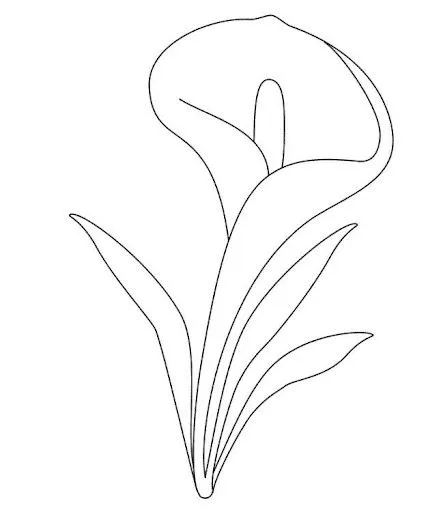 Calas para colorear - Imagui