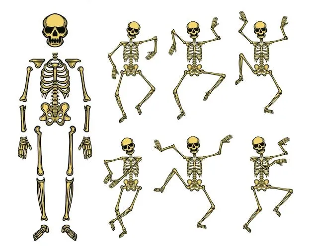 Calavera bailando | Vector Premium