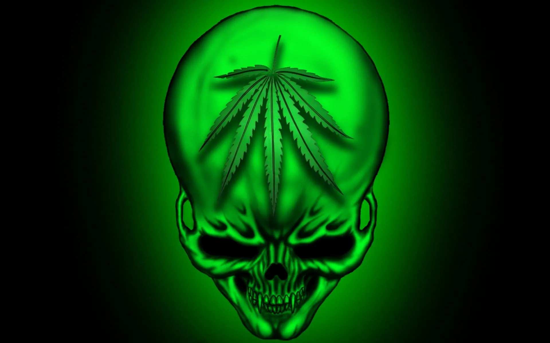 calavera-con-planta-de- ...