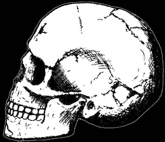 Varias calaveras sin fondo [.png] - Taringa!
