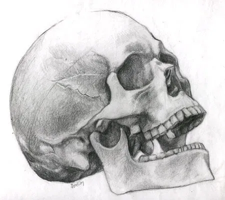 calaveras, muchas imagenes! - Taringa!