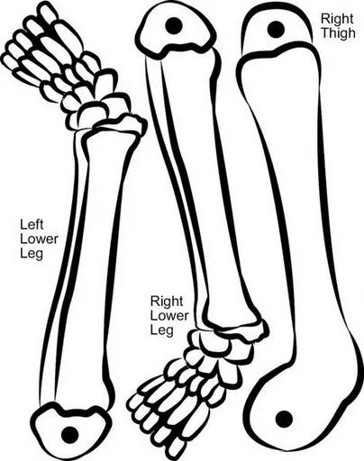 Como hacer un esqueleto movil en Manualidades infantiles para niños