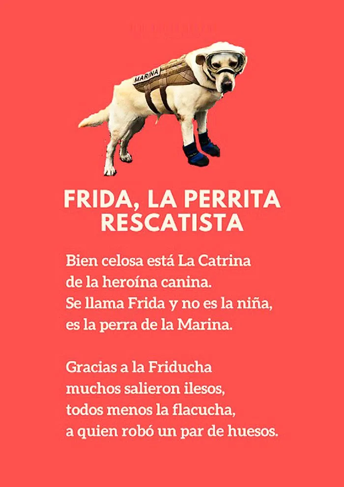 Calaveras Literarias Cortas: ¿Cómo hacerlas rápidamente? Calaveras Literarias Cortas: ¿Cómo hacerlas rápidamente?