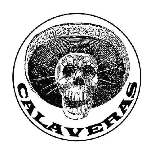 Calaveras en Día de Muertos 2010 | El Hijo del Pueblo