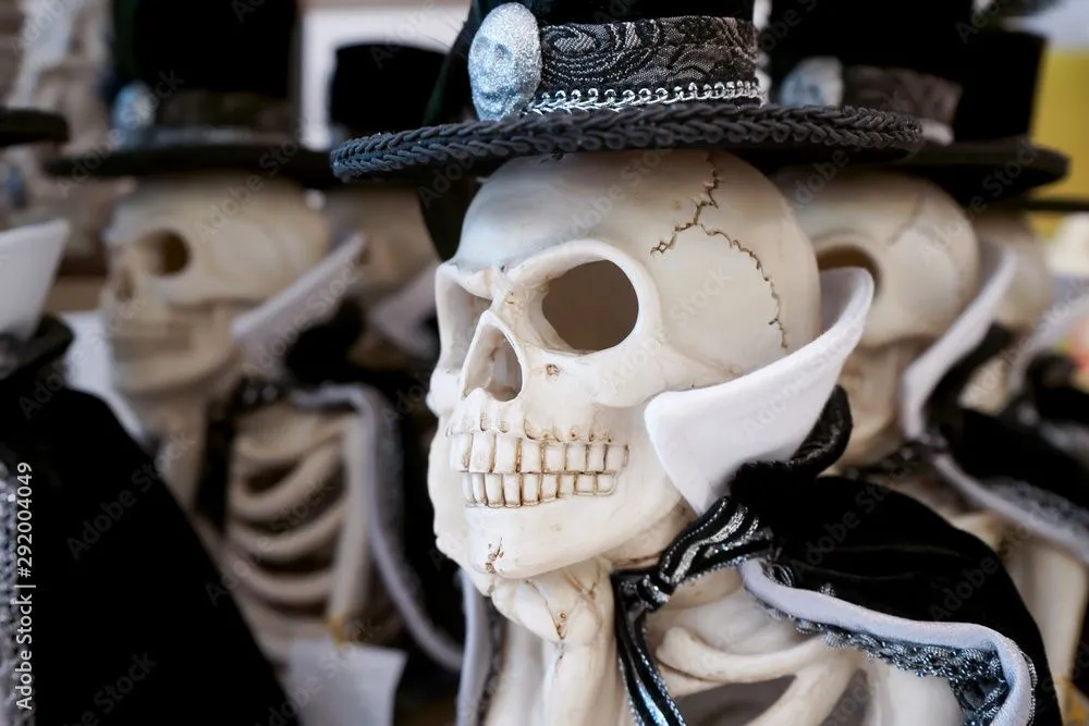 Las calaveras están vestidas con capa y sombrero para ir al festival. Stock  Photo | Adobe Stock