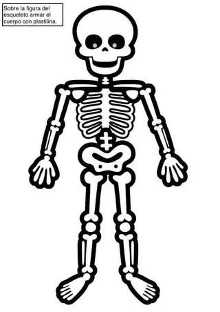 Calaveritas para vestir