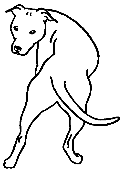 Caras de Pitbull para dibujar - Imagui