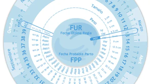 Calculadora de meses y semanas de embarazo | elembarazo.net