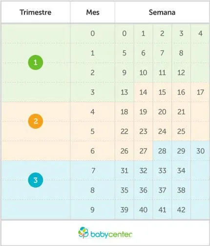 Cómo calcular semanas, meses y trimestres de embarazo - BabyCenter