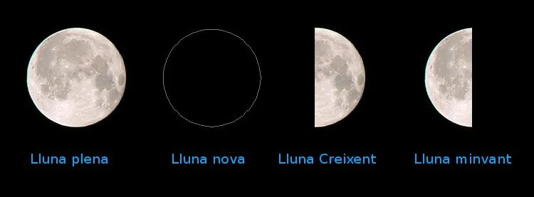 Calendari lunar - L'hort escolar ecològic