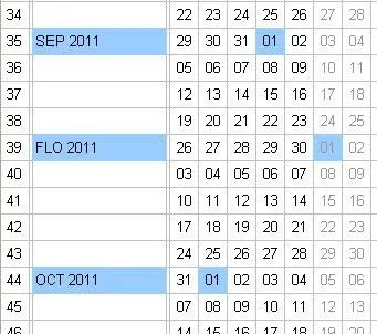 Calendario 2011 extendido
