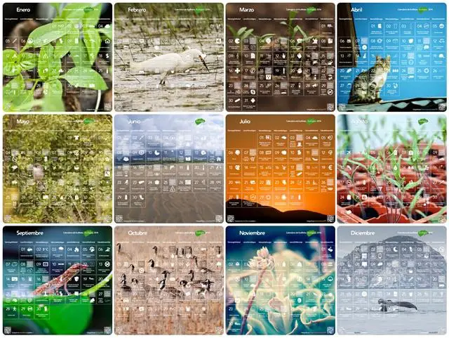 Calendario 2014 con 365 ideas sostenibles - Conciencia Eco