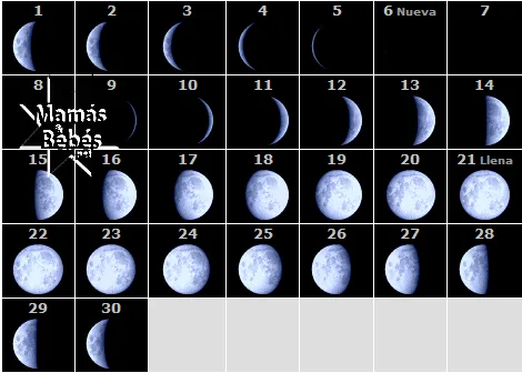 Calendario lunar para Noviembre 2010 | Mamas y Bebes Blog Calendario lunar para Noviembre 2010 | Mamas y Bebes Blog