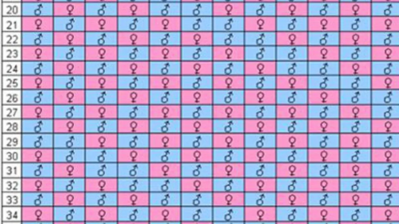 Calendario maya del embarazo 2023 | Tabla maya del sexo del bebé ♂ ♀ Calendario maya del embarazo 2023 | Tabla maya del sexo del bebé ♂ ♀