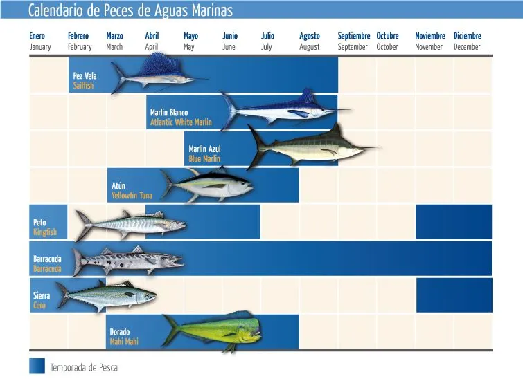 Calendario de peces de aguas marinas | De todo para la pesca Calendario de peces de aguas marinas | De todo para la pesca